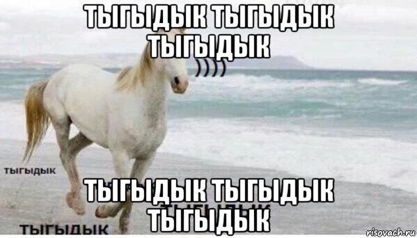 тыгыдык тыгыдык тыгыдык тыгыдык тыгыдык тыгыдык, Мем   Тыгыдык