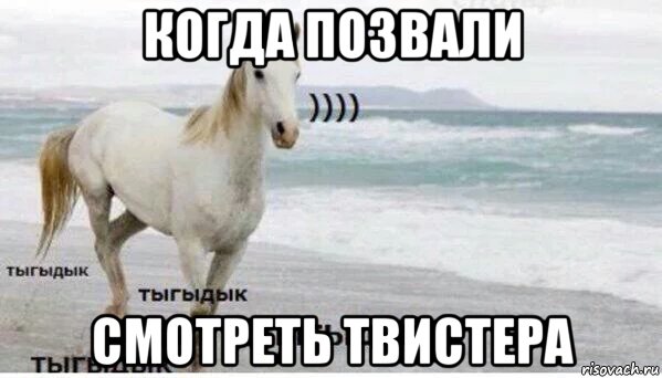 когда позвали смотреть твистера