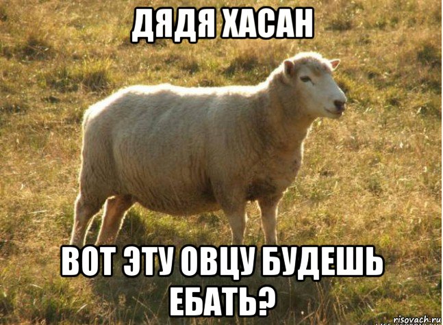 дядя хасан вот эту овцу будешь ебать?