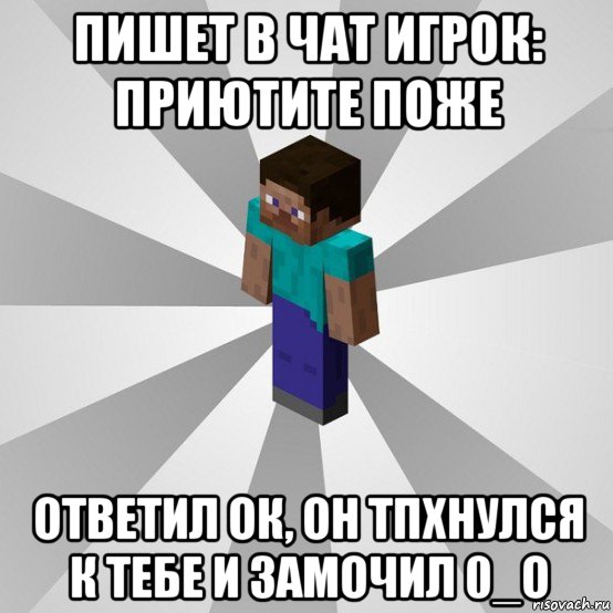 пишет в чат игрок: приютите поже ответил ок, он тпхнулся к тебе и замочил 0_о, Мем Типичный игрок Minecraft