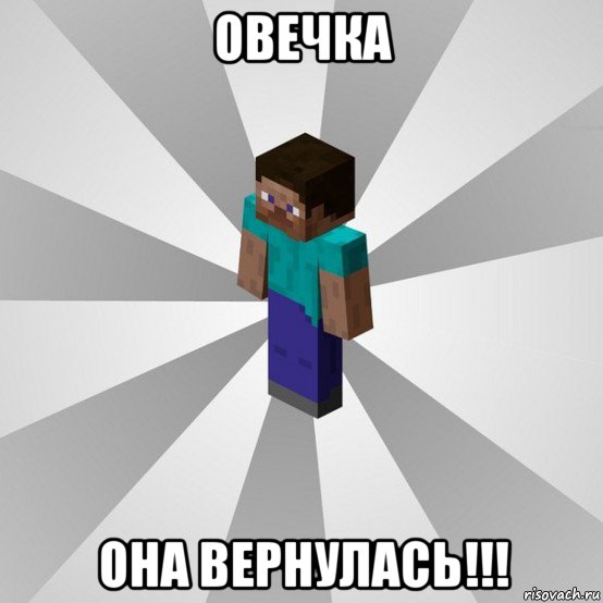 овечка она вернулась!!!, Мем Типичный игрок Minecraft