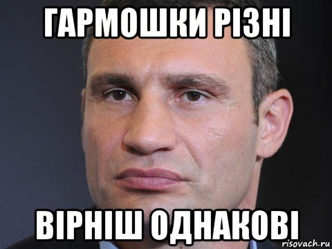 гармошки різні вірніш однакові, Мем Типичный Кличко