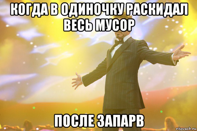 когда в одиночку раскидал весь мусор после запарв, Мем Тони Старк (Роберт Дауни младший)