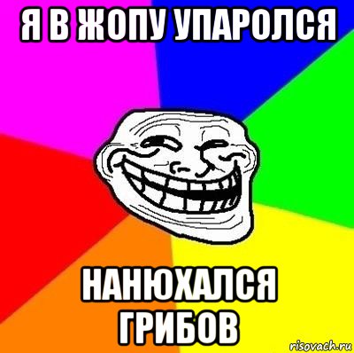 я в жопу упаролся нанюхался грибов, Мем Тролль Адвайс