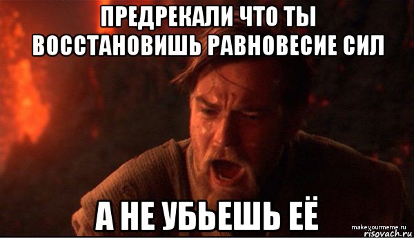 предрекали что ты восстановишь равновесие сил а не убьешь её, Мем ты был мне как брат