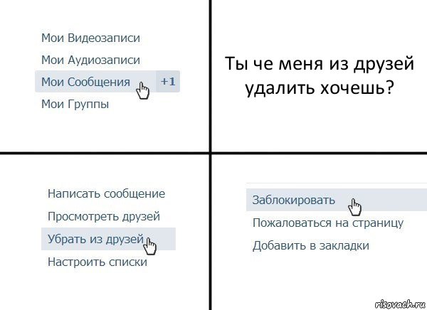 Ты че меня из друзей удалить хочешь?, Комикс  Удалить из друзей