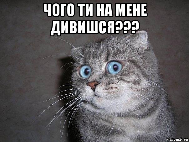 чого ти на мене дивишся??? , Мем  удивлённый кот