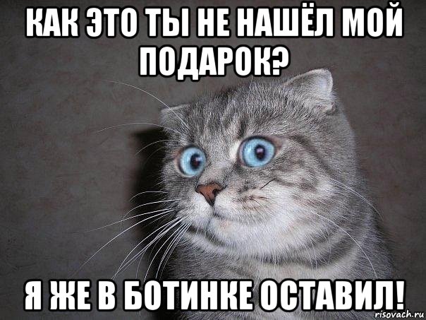 как это ты не нашёл мой подарок? я же в ботинке оставил!, Мем  удивлённый кот