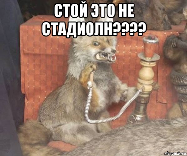 стой это не стадиолн???? 