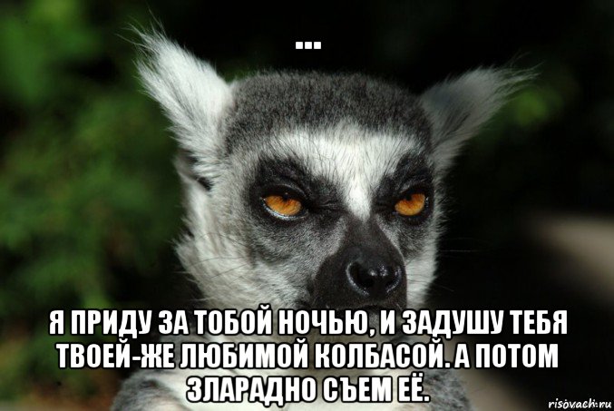 ... я приду за тобой ночью, и задушу тебя твоей-же любимой колбасой. а потом зларадно съем её., Мем   Я збагоен