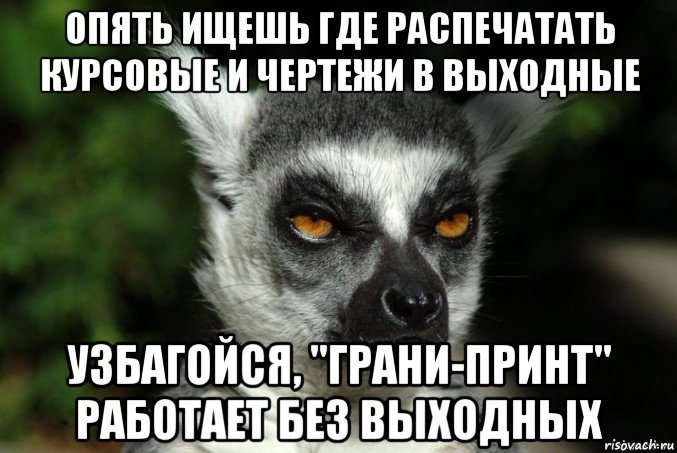 опять ищешь где распечатать курсовые и чертежи в выходные узбагойся, "грани-принт" работает без выходных, Мем   Я збагоен