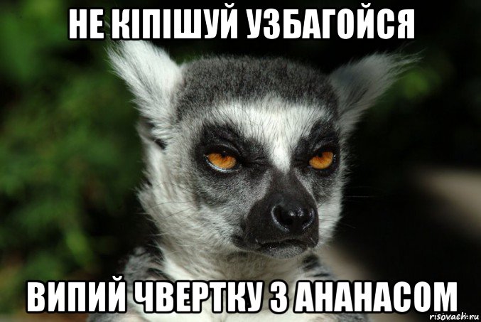 не кіпішуй узбагойся випий чвертку з ананасом, Мем   Я збагоен