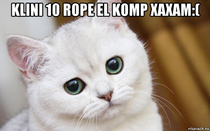 klini 10 rope el komp xaxam:( , Мем  В мире грустит один котик