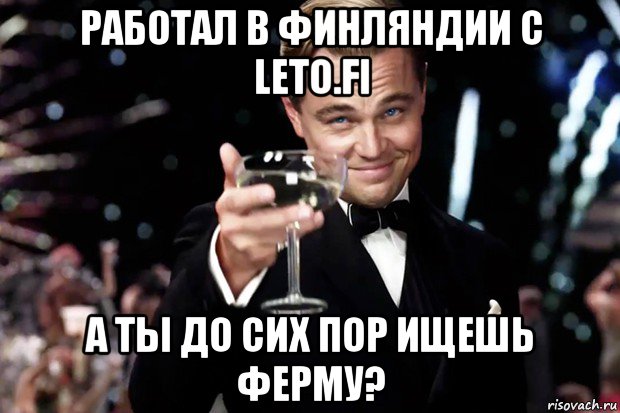 работал в финляндии с leto.fi а ты до сих пор ищешь ферму?, Мем Великий Гэтсби (бокал за тех)