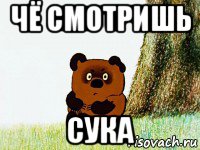 чё смотришь сука