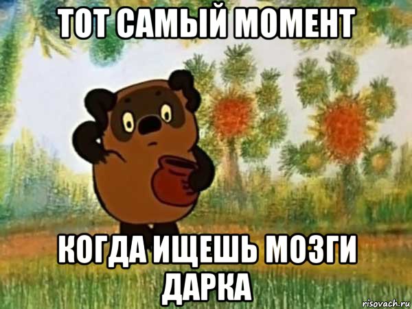 тот самый момент когда ищешь мозги дарка