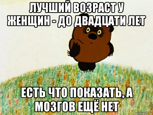 лучший возраст у женщин - до двадцати лет есть что показать, а мозгов ещё нет, Мем ВИННИ ПУХ