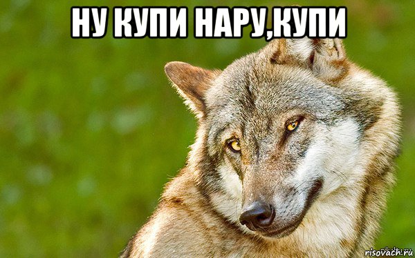 ну купи нару,купи , Мем   Volf