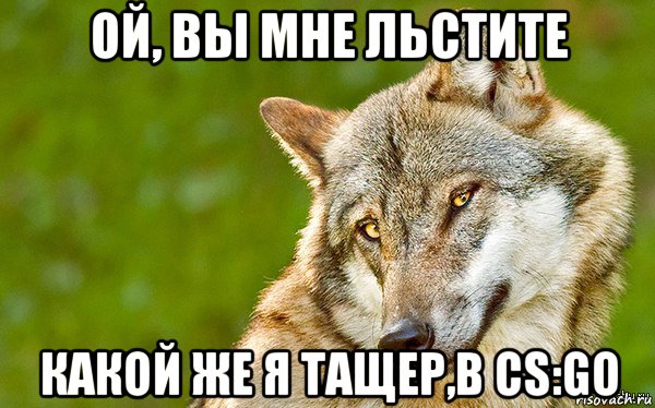 ой, вы мне льстите какой же я тащер,в cs:go, Мем   Volf