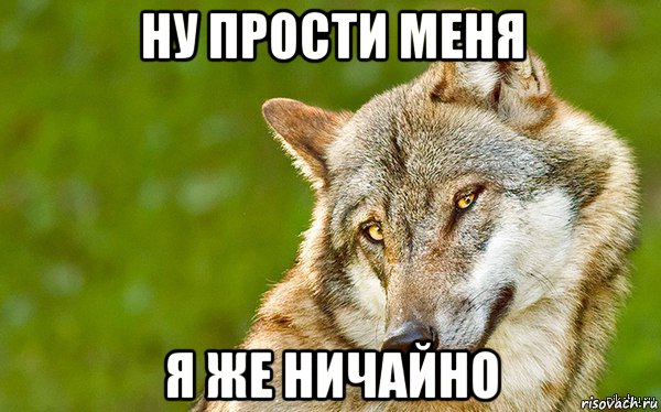 ну прости меня я же ничайно, Мем   Volf