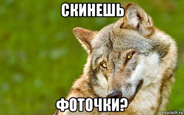 скинешь фоточки?, Мем   Volf