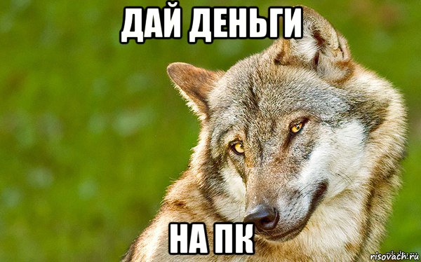 дай деньги на пк, Мем   Volf