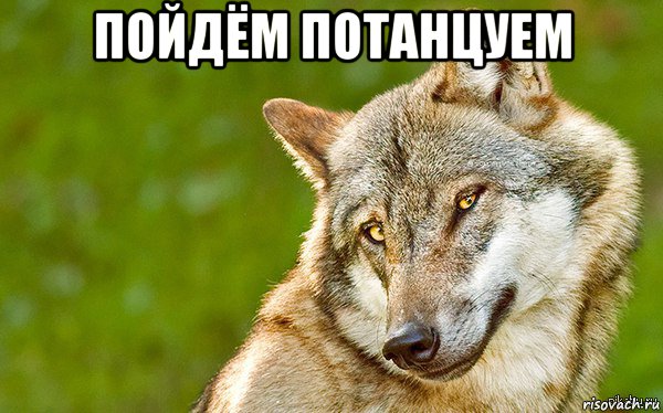 пойдём потанцуем , Мем   Volf