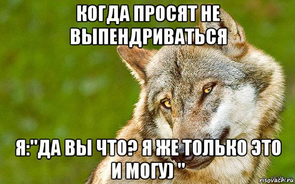 когда просят не выпендриваться я:"да вы что? я же только это и могу) ", Мем   Volf