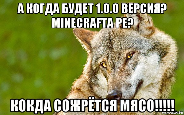 а когда будет 1.0.0 версия? minecrafta pe? кокда сожрётся мясо!!!!!, Мем   Volf