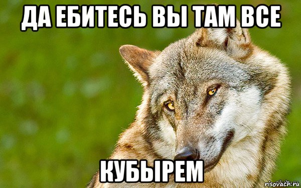 да ебитесь вы там все кубырем, Мем   Volf