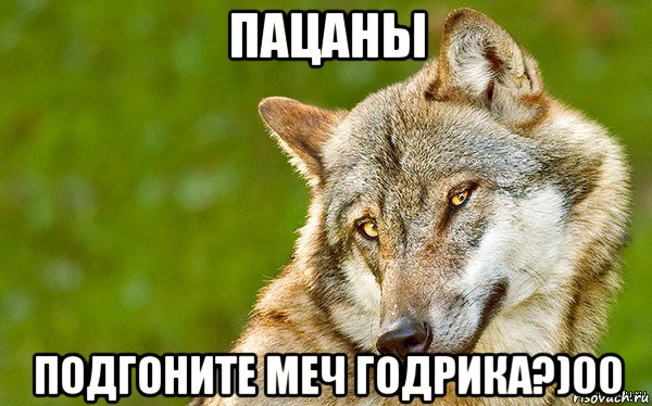 пацаны подгоните меч годрика?)00, Мем   Volf