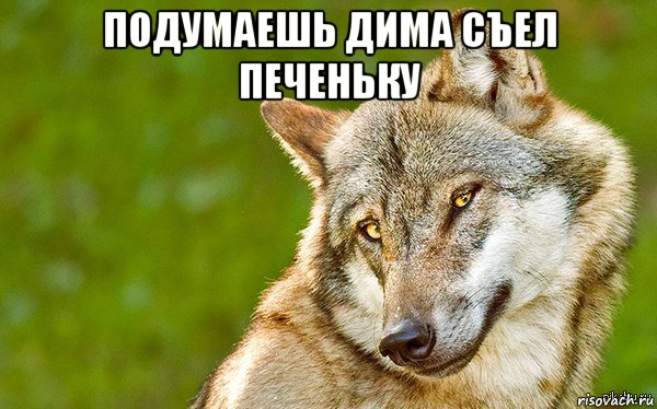 подумаешь дима съел печеньку , Мем   Volf