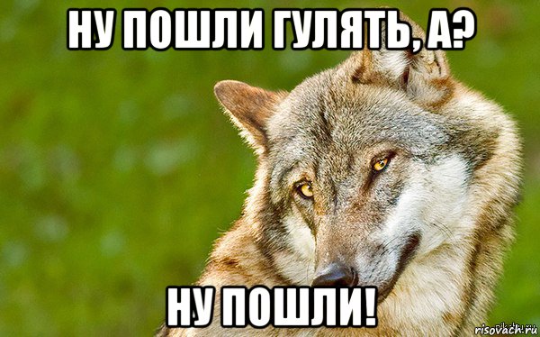 ну пошли гулять, а? ну пошли!, Мем   Volf