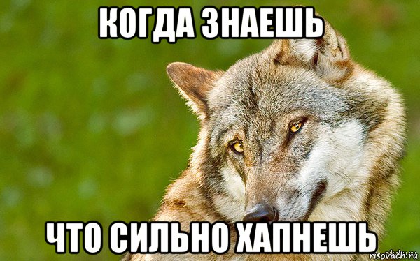 когда знаешь что сильно хапнешь, Мем   Volf