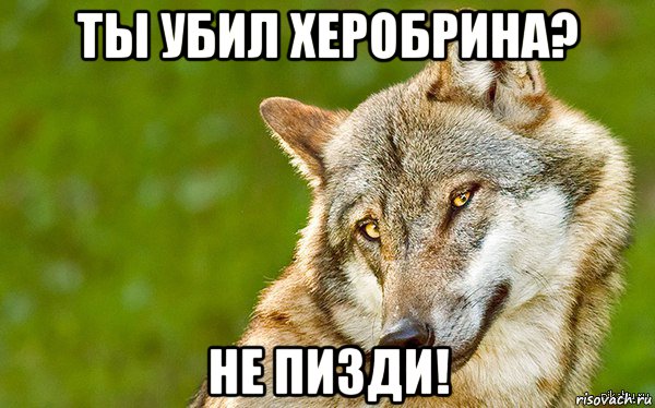 ты убил херобрина? не пизди!, Мем   Volf