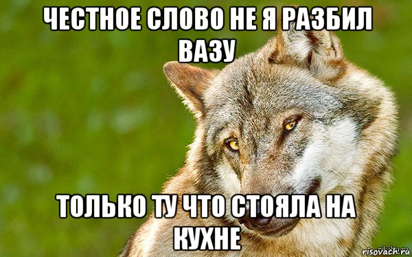 честное слово не я разбил вазу только ту что стояла на кухне, Мем   Volf