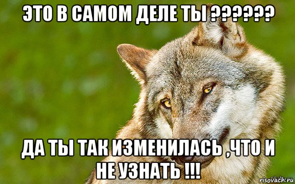 это в самом деле ты ?????? да ты так изменилась ,что и не узнать !!!, Мем   Volf