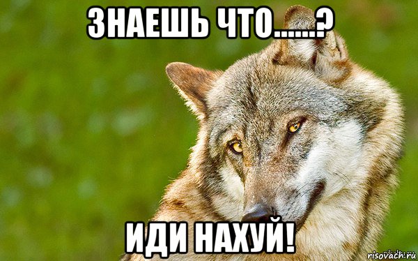 знаешь что......? иди нахуй!, Мем   Volf