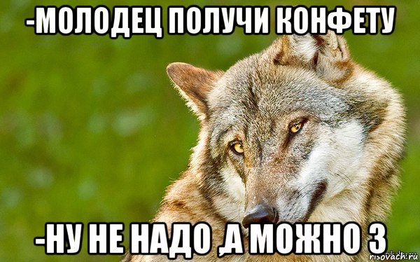 -молодец получи конфету -ну не надo ,a можно 3, Мем   Volf