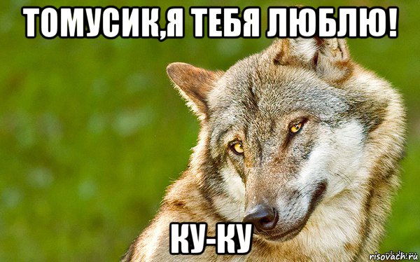 томусик,я тебя люблю! ку-ку, Мем   Volf