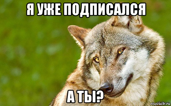 я уже подписался а ты?, Мем   Volf