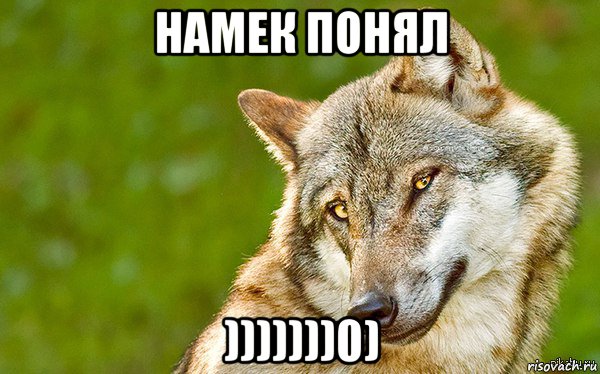 намек понял )))))))0), Мем   Volf