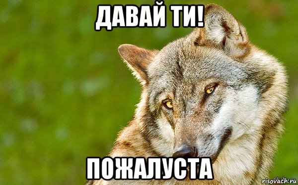 давай ти! пожалуста, Мем   Volf