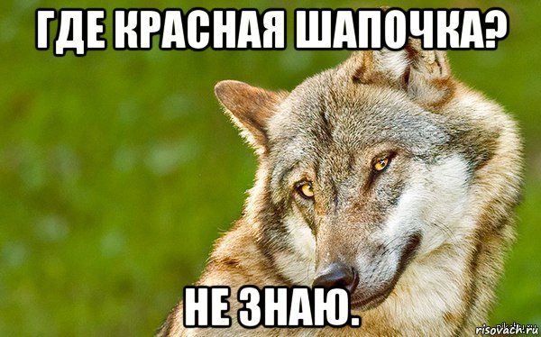 где красная шапочка? не знаю., Мем   Volf