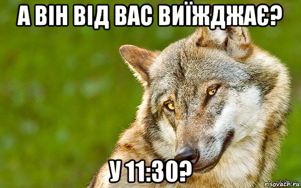 а він від вас виїжджає? у 11:30?, Мем   Volf