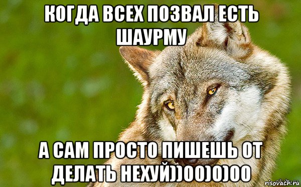 когда всех позвал есть шаурму а сам просто пишешь от делать нехуй))00)0)00, Мем   Volf