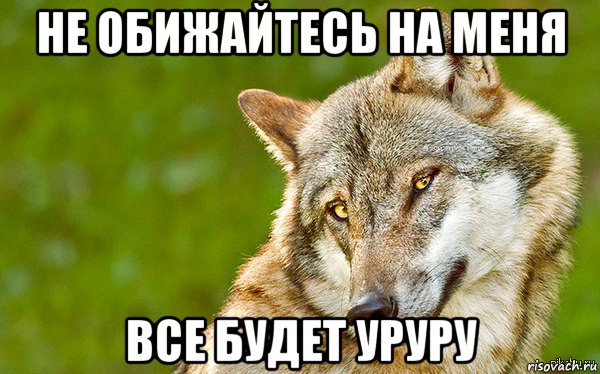 не обижайтесь на меня все будет уруру, Мем   Volf