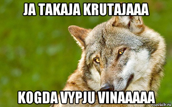 ja takaja krutajaaa kogda vypju vinaaaaa, Мем   Volf