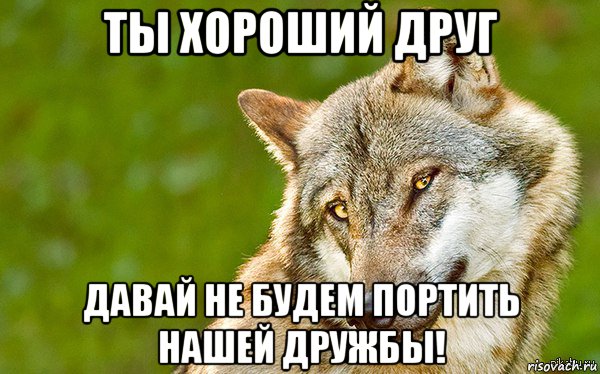 ты хороший друг давай не будем портить нашей дружбы!, Мем   Volf