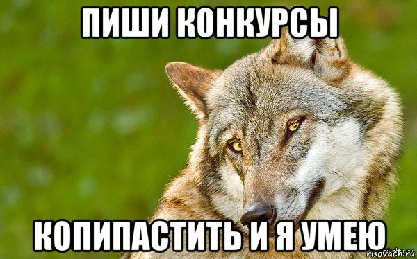 пиши конкурсы копипастить и я умею, Мем   Volf